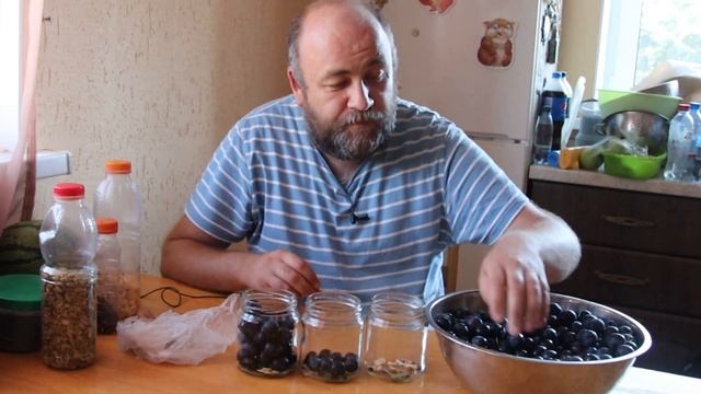 Веганские Ресторанчики и Кафе