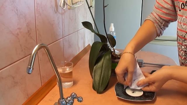 Приготовление обезараживающей присыпки. Активированный уголь смотреть онлайн