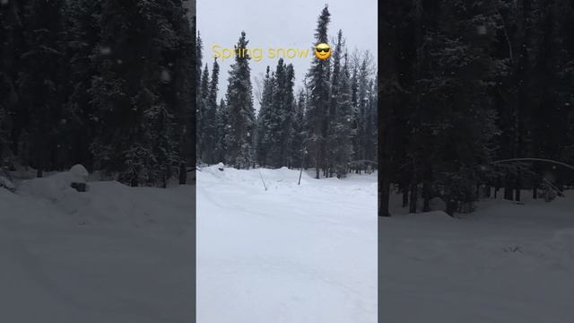 Quick snow storm on the #lifeinalaska #homestead смотреть онлайн