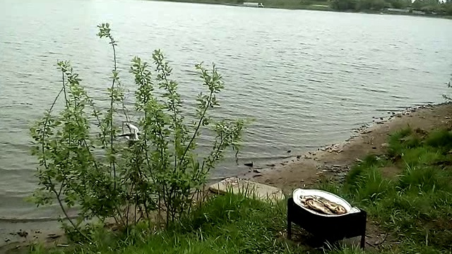 VID_20160515_150351чайки смотреть онлайн