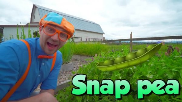 Blippi Visits The Science Museum For Children | Educational Videos For Kids