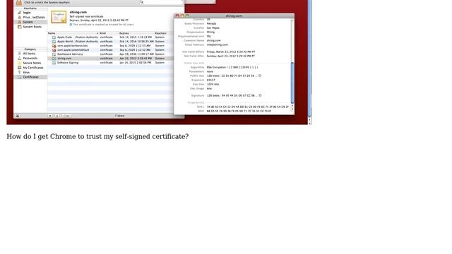 Importing a self-signed SSL certificate on MacOS смотреть онлайн