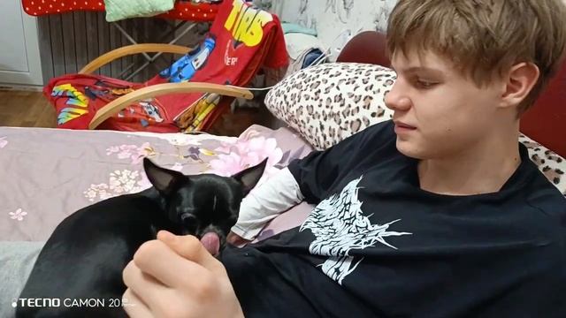 Чих попрошайка) У сына выпрашивает сыр. смотреть онлайн