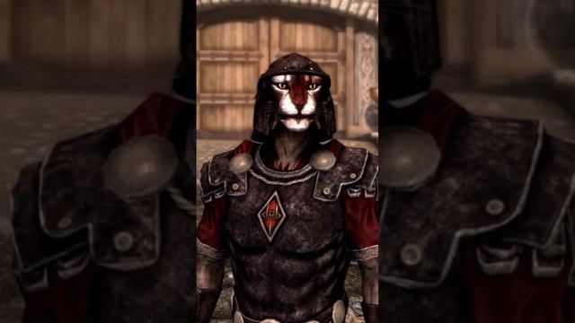 Реакция стражи в игре Скайрим на Броню. #mrcatgame #skyrim #tes #скайрим #tes5 #elderscrolls