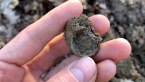 ЧУДЕСНЫЕ ЛЕСА КРЫМА ЗАБИТЫ НАХОДКАМИ КОП 2022