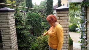 ОПОРЫ ДЛЯ КЛЕМАТИСОВ - клематисы уход - советы от Клематис TV