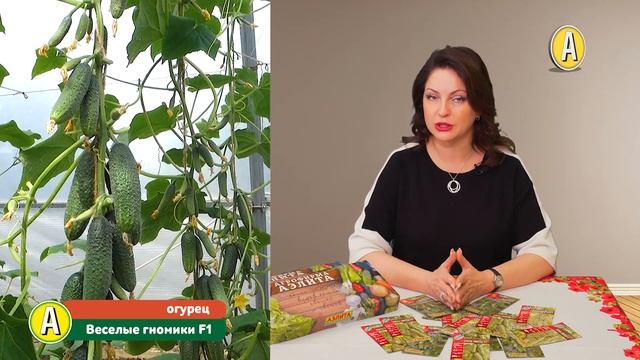 Обзор семян огурцов. Рейтинг популярных гибридов огурцов смотреть онлайн