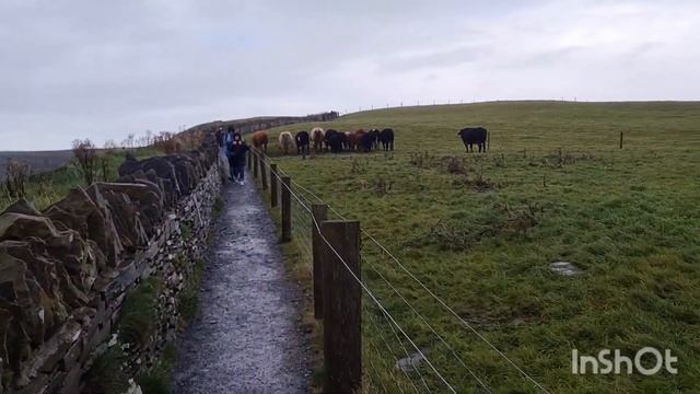 Ирландия.На краю света. часть1.Скалы Мохер.15.10.2022 смотреть онлайн