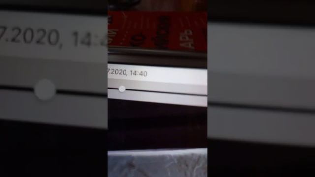 Паук волк против сенокосца! Кто же победит? смотреть онлайн