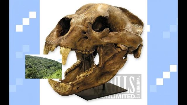 Short Faced Bear In 3 Minutes! (Arctodus Simus) смотреть онлайн