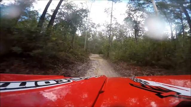 CF Moto Z8 wet forest run with Will as navigator смотреть онлайн