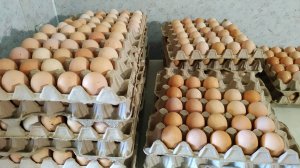 Отправка яйца в другие регионы