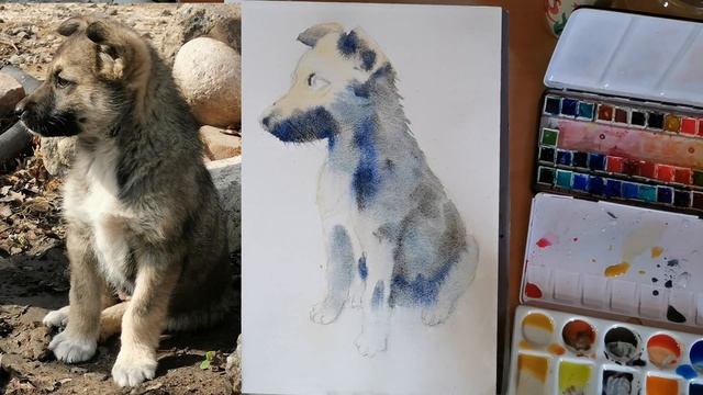 МК по акварели этюд Щенка 1 часть смотреть онлайн