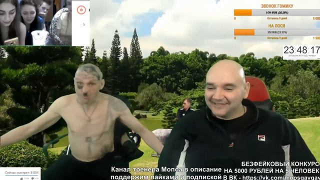 Ржачный момент со стрима мопса (Мопс ест лимон) смотреть онлайн