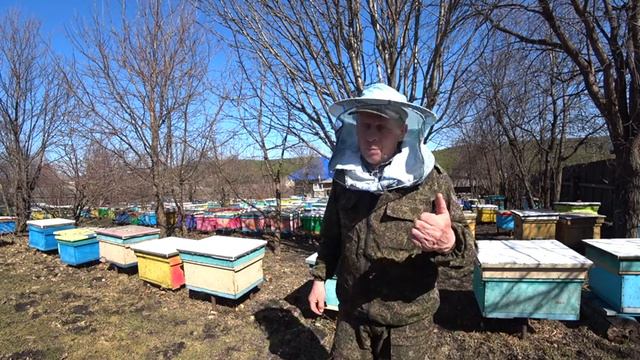 ЧЕМ ПЧЕЛОВОДУ ЛЕЧИТЬ ПЧЁЛ, КОГДА НУЖНО ИСПРАВИТЬ ПРОБЛЕМНЫЕ СЕМЬИ смотреть онлайн
