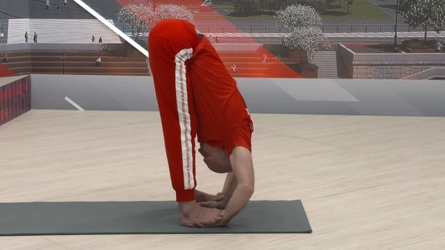 СЕЗОН 5. Утренняя зарядка на все группы мышц | 2 декабря | Онлайн-тренировка смотреть онлайн