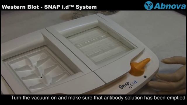 Western Blot - SNAP i.d™ System смотреть онлайн