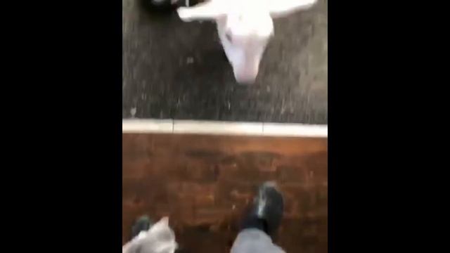 Тот, кто не может понять свою кошку, не может понять вообще ничего смотреть онлайн