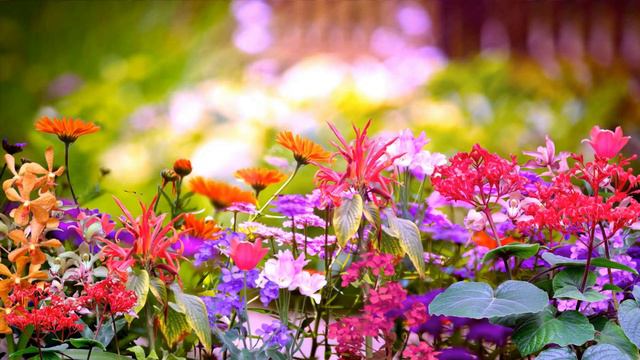 Завораживающая музыка для сна смотреть онлайн