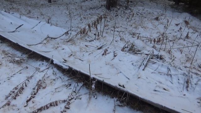 29 10 19г нагонка и проверка лодок р Пукшеньга смотреть онлайн