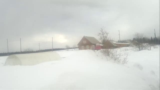 динго т 150 дочке 7 лет смотреть онлайн