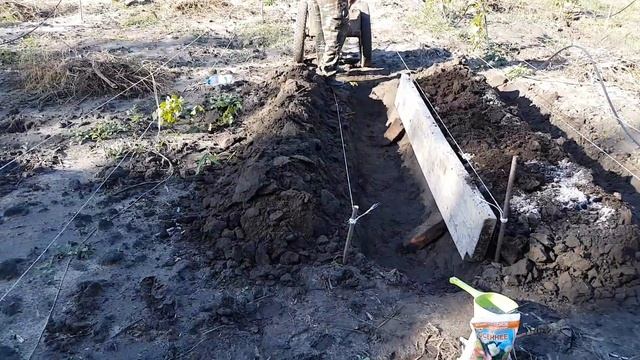 Посадка клубники на агроволокно. смотреть онлайн