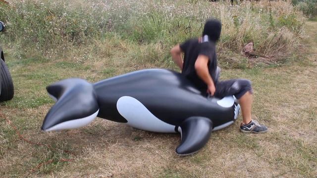 Inflatable Whale Pop Nature
