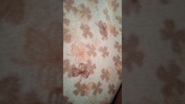 Слайм с жуками смотреть онлайн