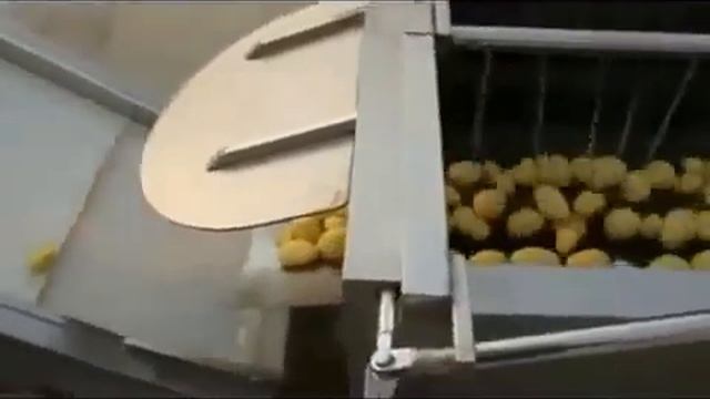 Линия для мойки и очистки овощей Titan смотреть онлайн