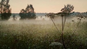 КНЯЖИЙ ОСТРОВ.