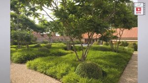 Современные тенденции в ландшафтном дизайне.