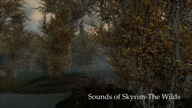 The Sounds of Skyrim- The Wilds and Rustic Weathers смотреть онлайн