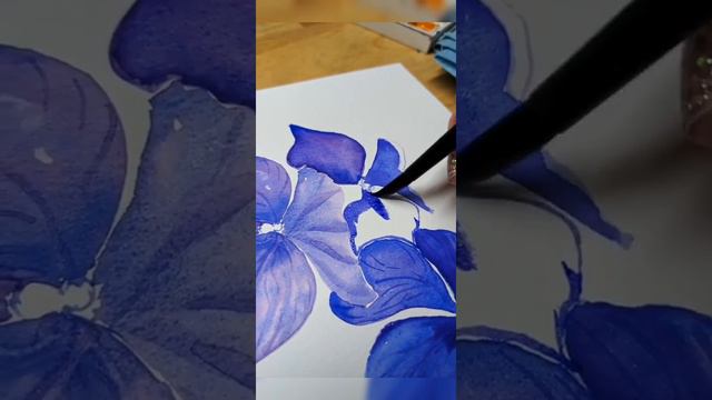 Deep Blue Hydrangea смотреть онлайн