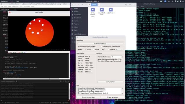 MultiDetection using OpenCV смотреть онлайн