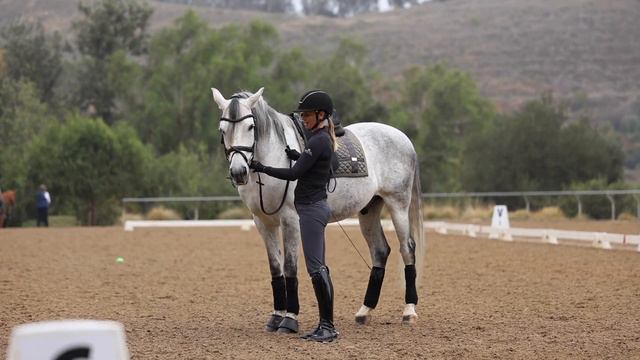 Teach the Leg-Yield with this Simple Exercise смотреть онлайн