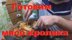 Готовим мясо кролика в электрической печке.
