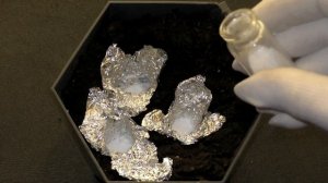 Cultivation of white stones at home \ Выращивание белых камней в домашних условиях