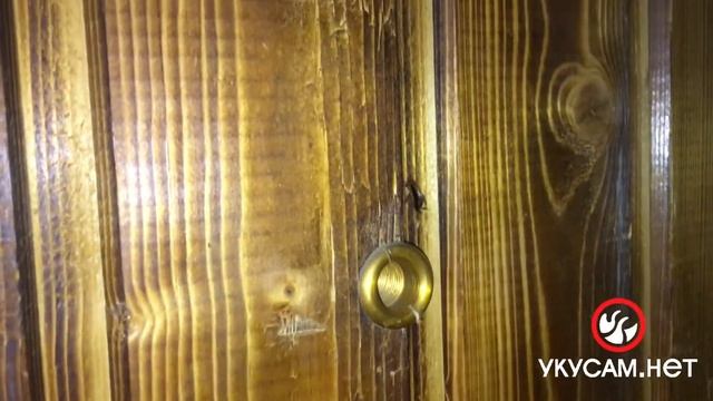 Полчища тараканов в трехкомнатной квартире (Обработка от тараканов в СПБ 2021 2) смотреть онлайн