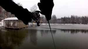 Ловля форели на спиннинг . Зимний спиннинг