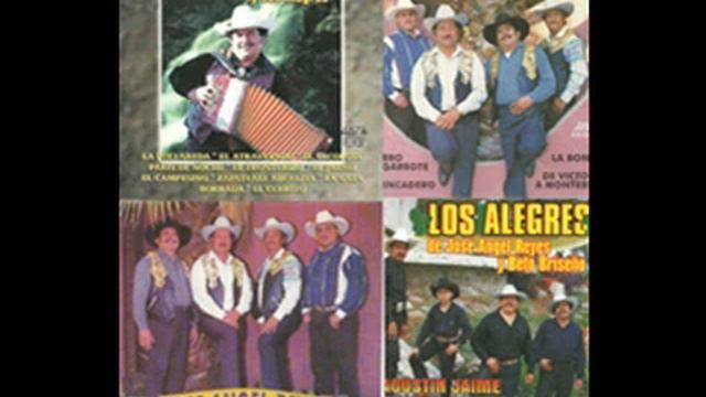 Jose Angel Reyes - POLKAS, REDOVAS, CHOTIS, HUAPANGOS MIX 16 EXITOS смотреть онлайн
