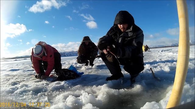 Открытие зимнего сезона Камчатка 2016 2017 #1Ловля корюшки и наваги протока Авачи Широкая природа смотреть онлайн