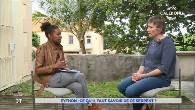 Découverte d'un Python réticulé à Voh (Calédonia TV - Info Soir 2018) смотреть онлайн