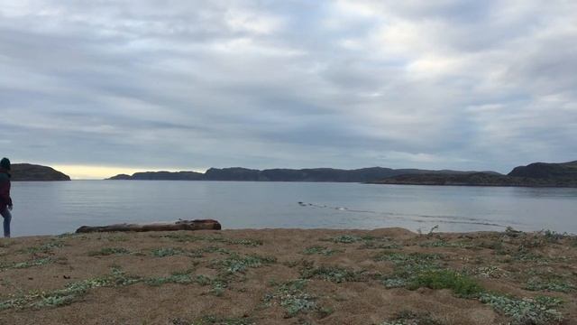 ДНЕВНИК ПРОВИНЦИАЛА. Северный ледовитый океан. Териберка. MOST CREATIVE CAMP. Москва. смотреть онлайн