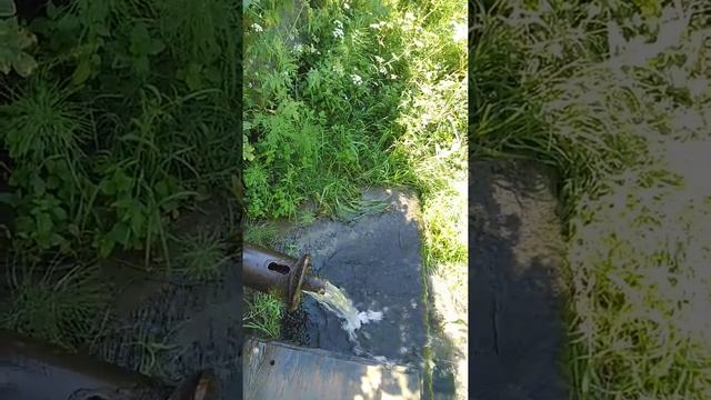 Живая вода от бесплодия,болезней, неудач. смотреть онлайн