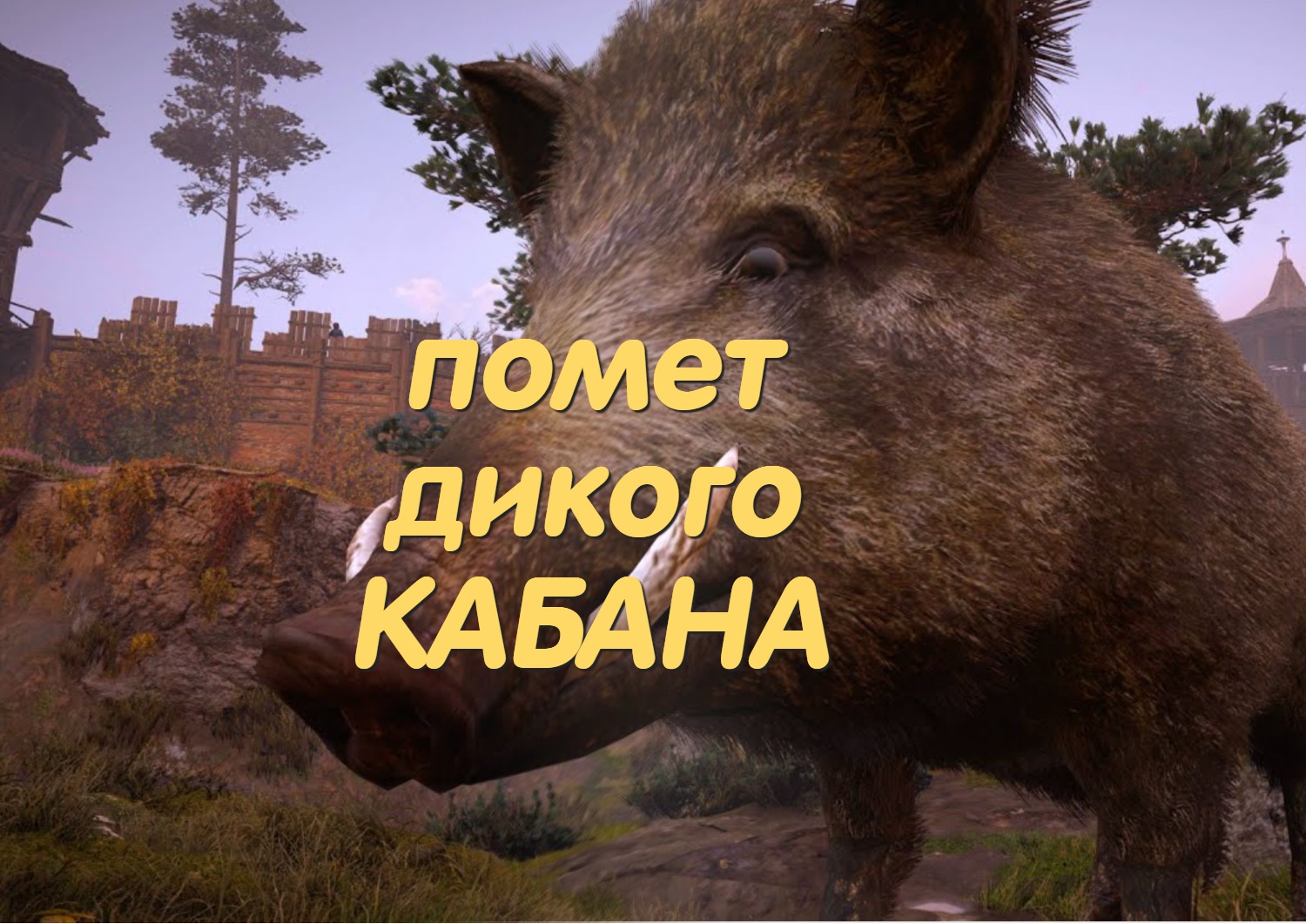 (помет Дикого кабана)