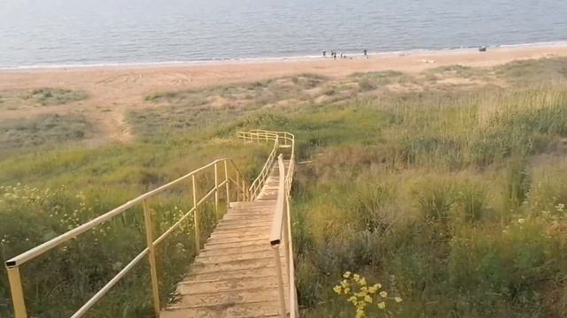 23 выпуск. Семейный влог "Р.Д.К." Звериный смотреть онлайн