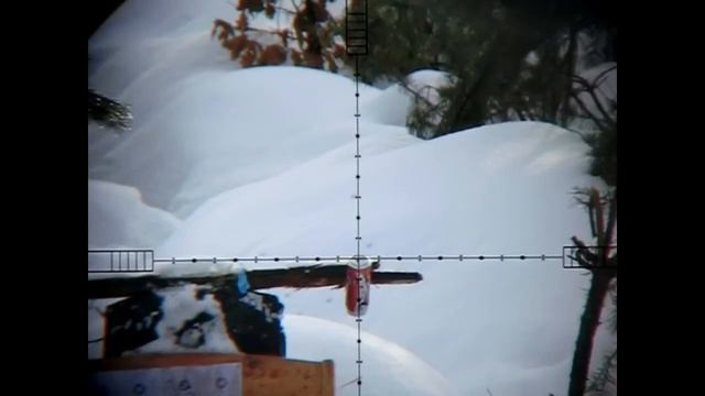 Weihrauch HW100T accuracy 25-50m slow motion смотреть онлайн