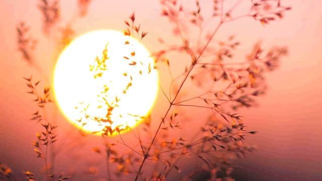 Vipassana Guided Meditation for 1 hour смотреть онлайн