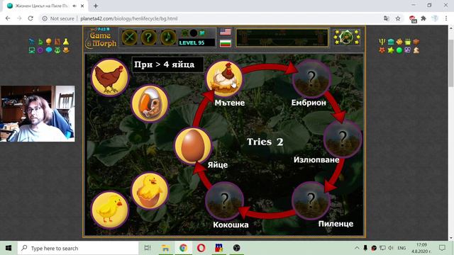 Жизнен Цикъл на Пиле - Забавна Образователна Игра по Биология