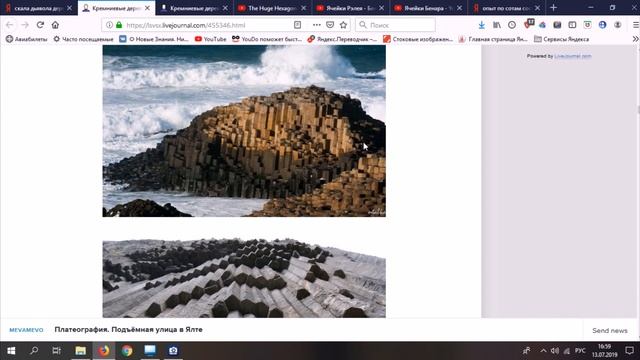 Анализ статьи "на Земле лесов нет". О кремниевых деревьях смотреть онлайн